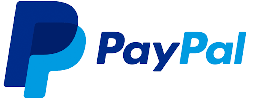 Payment Terms 2 - Nicolas Cage Store pay with paypal - Nicolas Cage Store